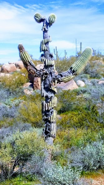 Junk Removal and recycling in the city of Cave Creek, Arizona