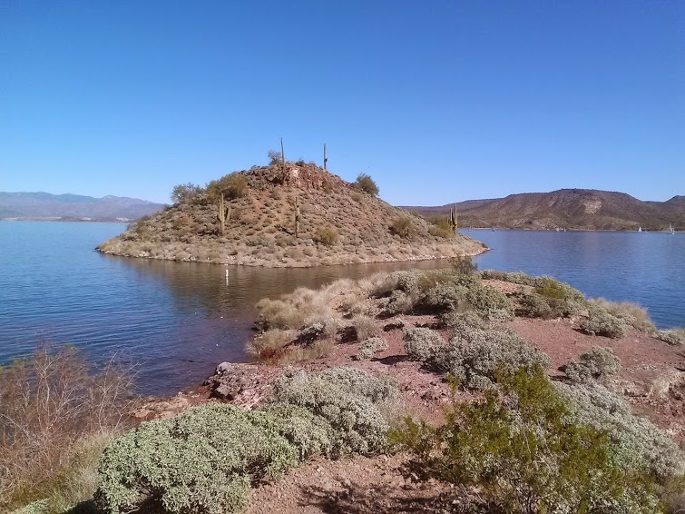 Junk Removal and recycling in the city of Peoria, Arizona