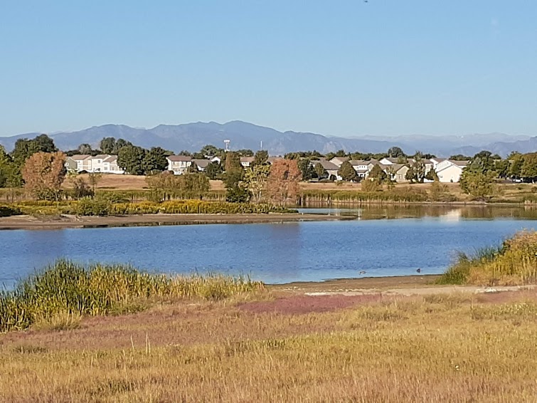Junk Removal and recycling in the city of Eastlake, Colorado