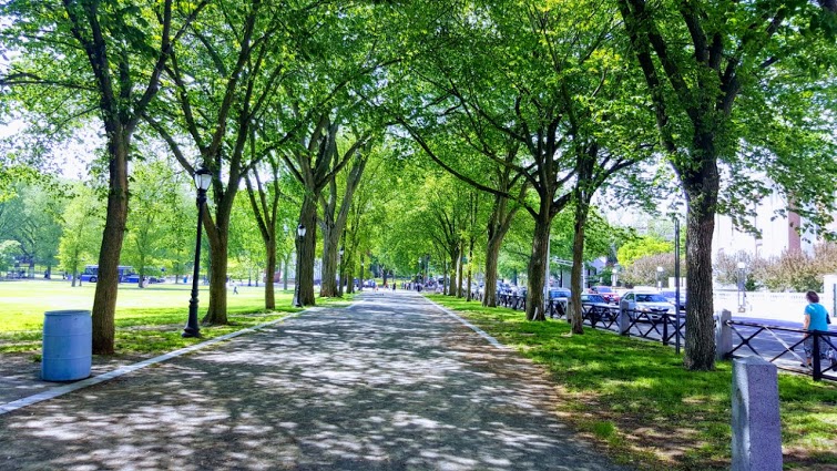 Junk Removal and recycling in the city of New Haven, Connecticut