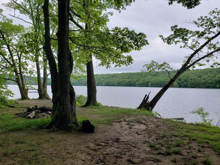 Junk Removal and recycling in the city of Sandy Hook, Connecticut