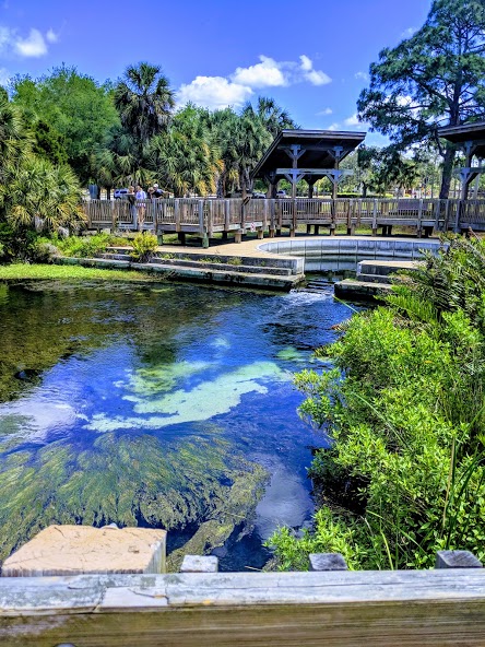 Junk Removal and recycling in the city of Palm Harbor, Florida
