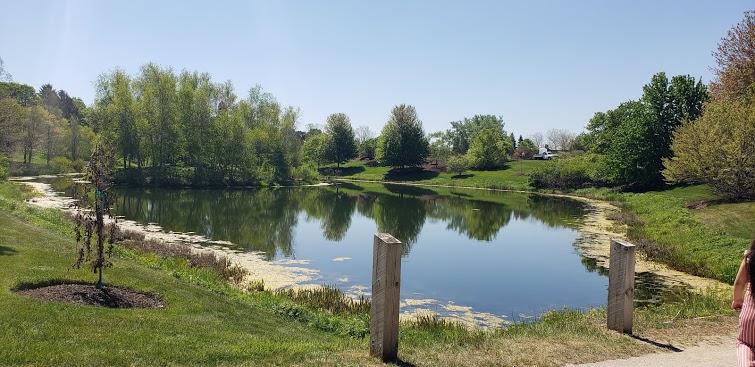 Junk Removal and recycling in the city of Northfield, Illinois
