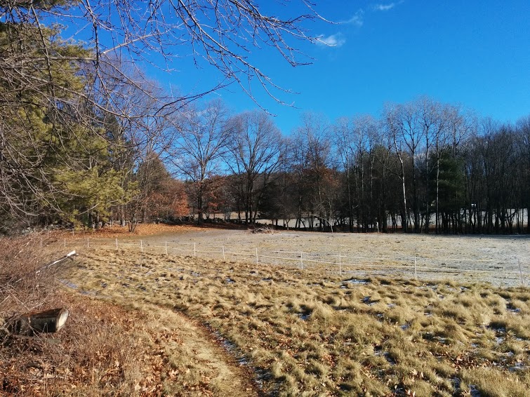 Junk Removal and recycling in the city of Boxborough, Massachusetts