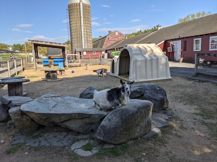 Junk Removal and recycling in the city of Chelmsford, Massachusetts