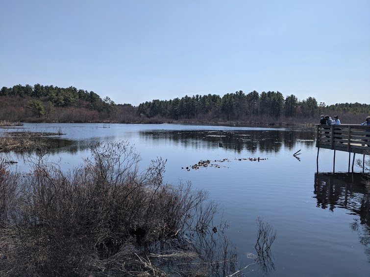 Junk Removal and recycling in the city of Norfolk, Massachusetts
