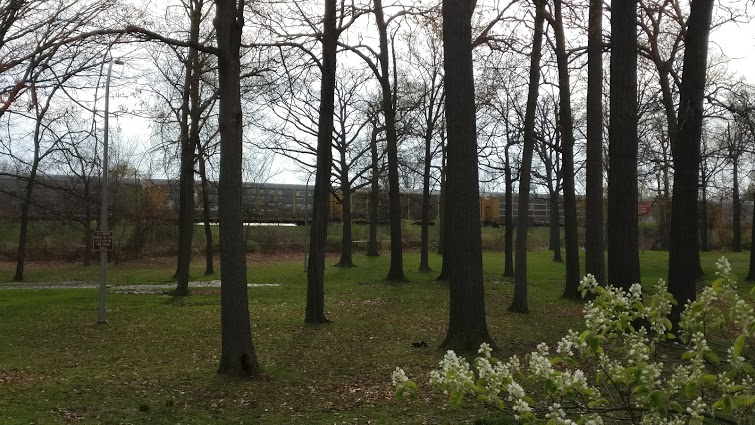 Junk Removal and recycling in the city of Huntington Woods, Michigan