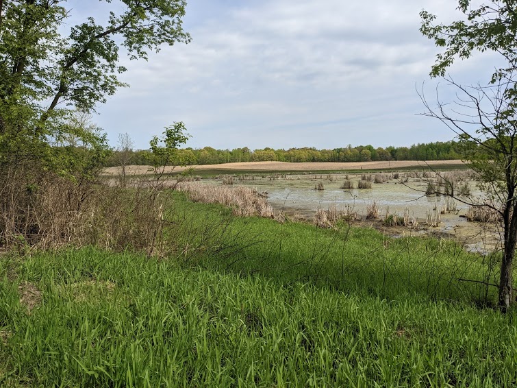 Junk Removal and recycling in the city of Savage, Minnesota