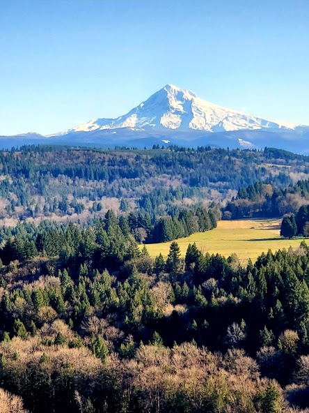 Junk Removal and recycling in the city of Boring, Oregon