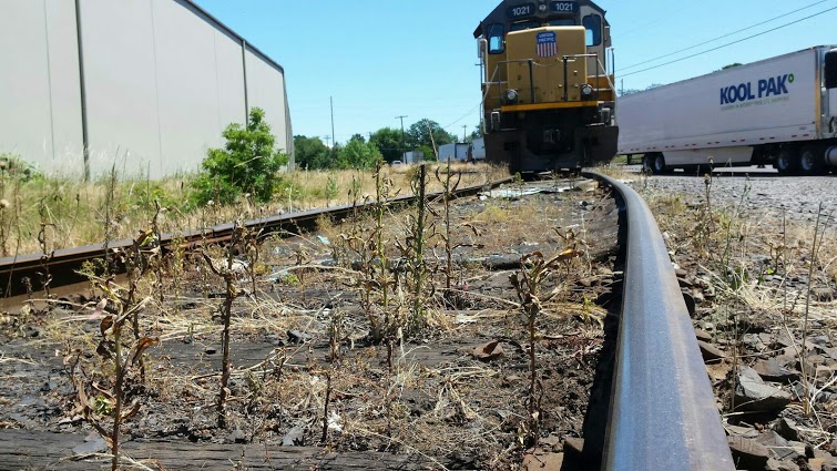 Junk Removal and recycling in the city of Clackamas, Oregon