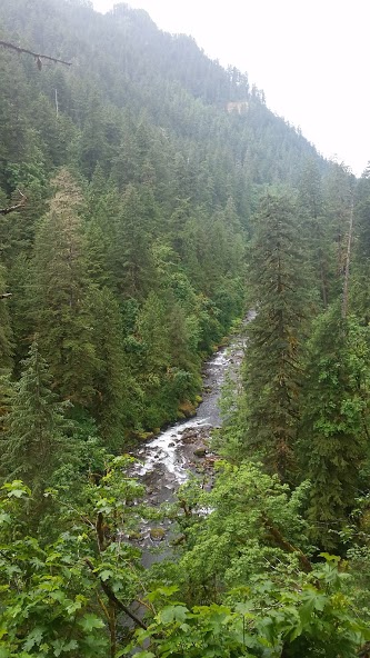 Junk Removal and recycling in the city of Eagle Creek, Oregon