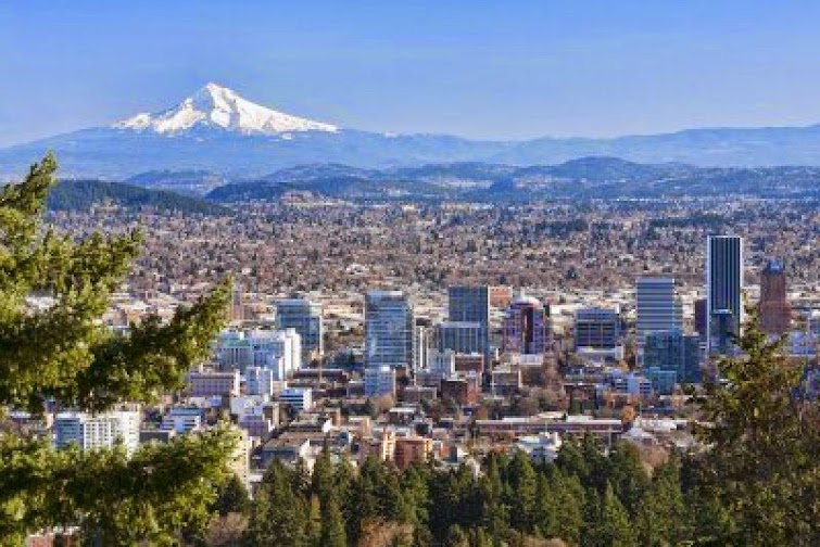 Junk Removal in Piedmont Neighborhood, Portland, Or
