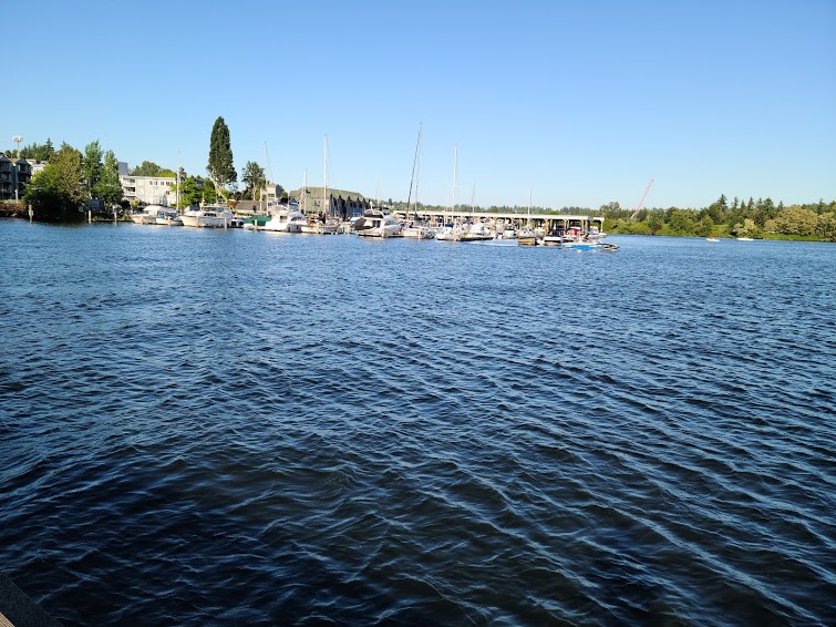 Junk Removal and recycling in the city of Lake Forest Park, Washington