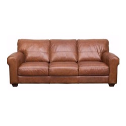 Any Upholstery Fabric Couch
