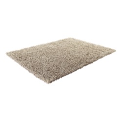 Any Type Carpet